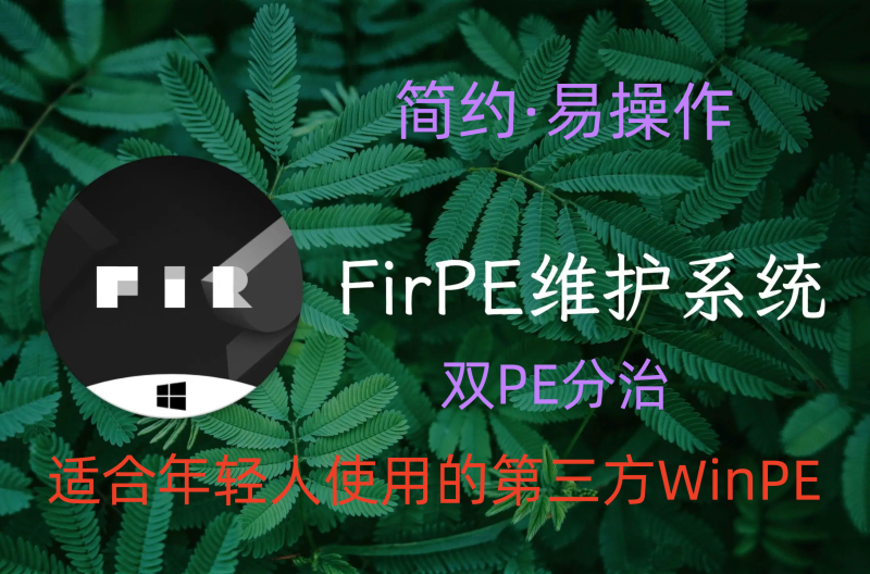 FirPE 维护系统 v2.0.3/1.9.2 | 适合年轻人使用的第三方WinPE-飞鸟资源库