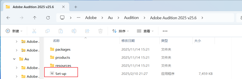 图片[3]-【Au】Adobe Audition 2025 安装教程| 保姆级教程（附安装包）-飞鸟资源库