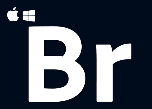 【Br】Adobe Bridge 2026 v16.0 中文SP版｜Win/Mac｜附历史版本-飞鸟资源库