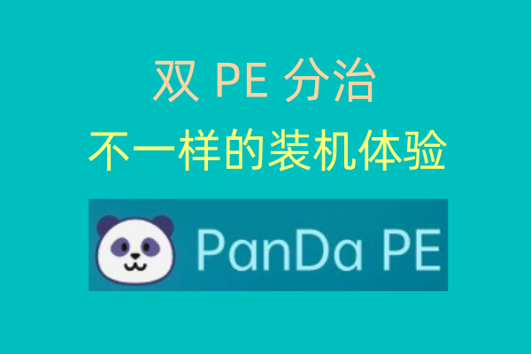 PanDa PE v8.25.06.01 | 不一样的装机体验-飞鸟资源库